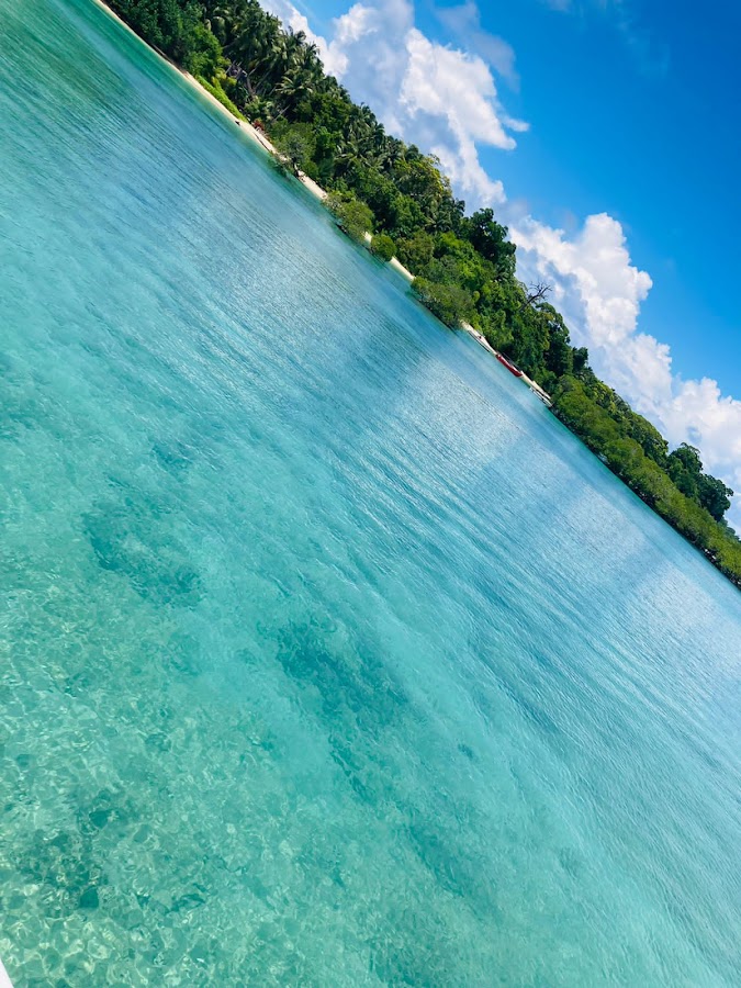 Experience Andamans | Best Travel Agency in Andaman Islands