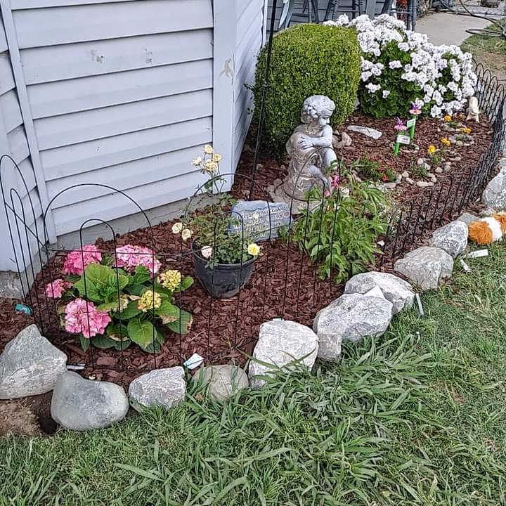 Liz's Garden Creations