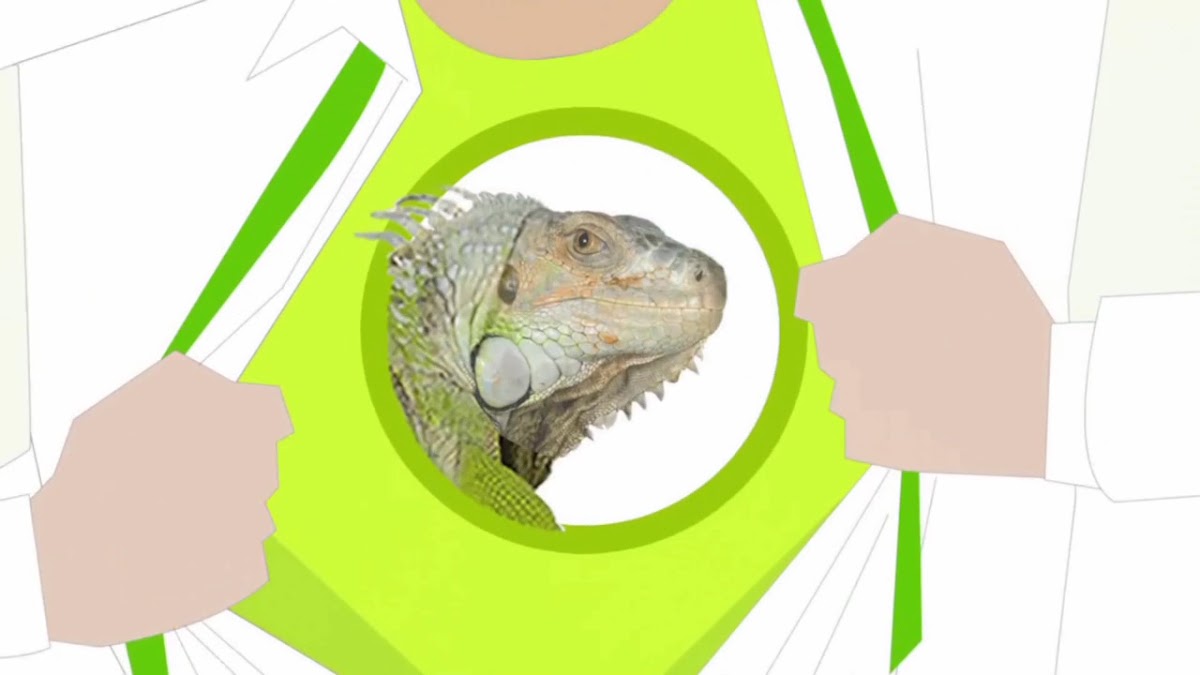 SeoSamba