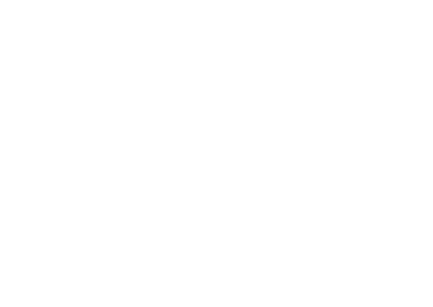 Lena Lee Photography logo
