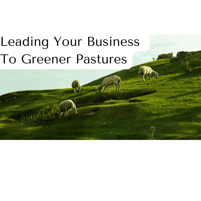 Shepherd Web Design & Digital Marketing