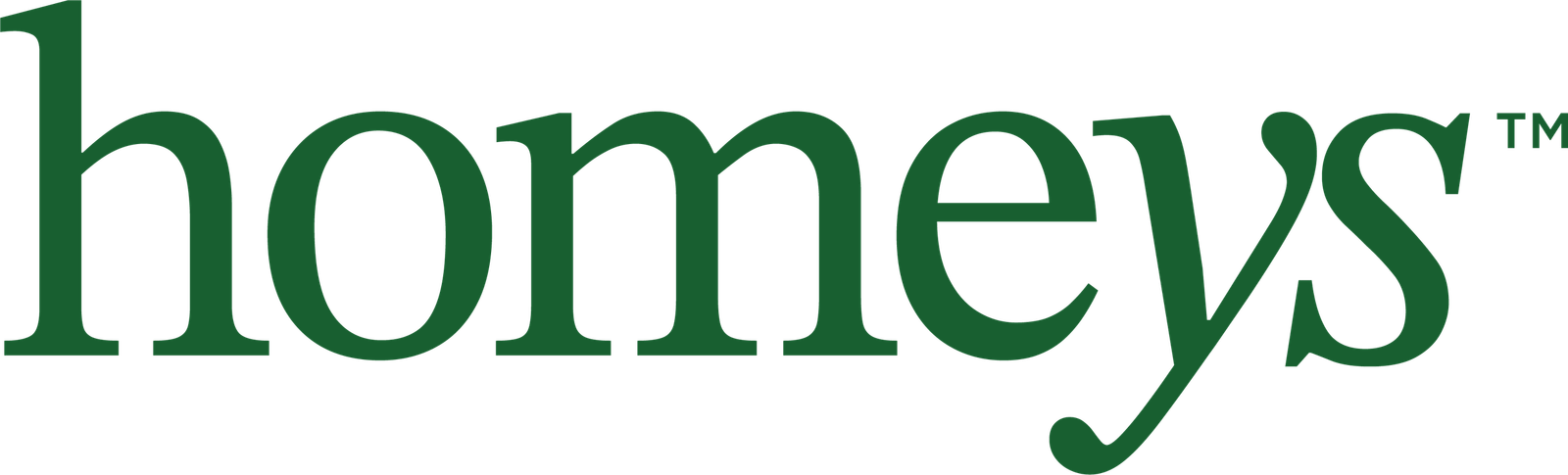 homeys - We Make Homes Healthy logo