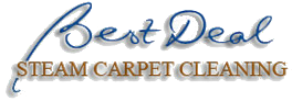 Best Deal Steam Carpet Cleaning - Upholstery Services logo
