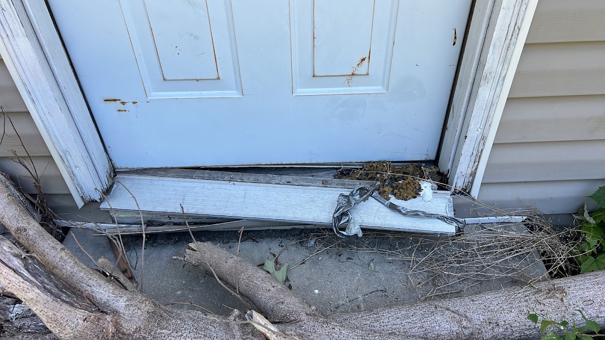 Reliable Home Services LLC