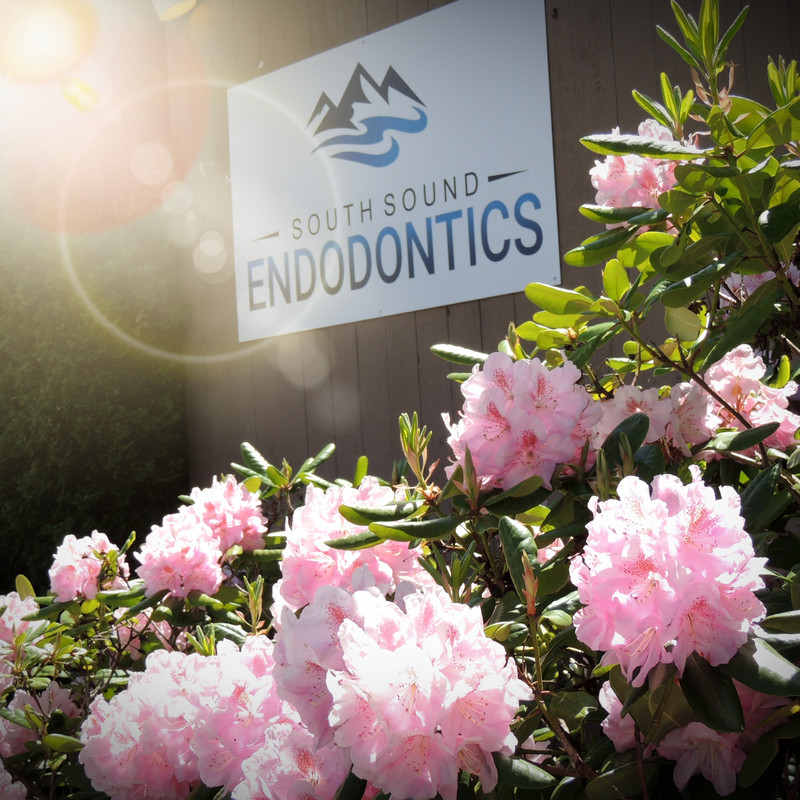 South Sound Endodontics