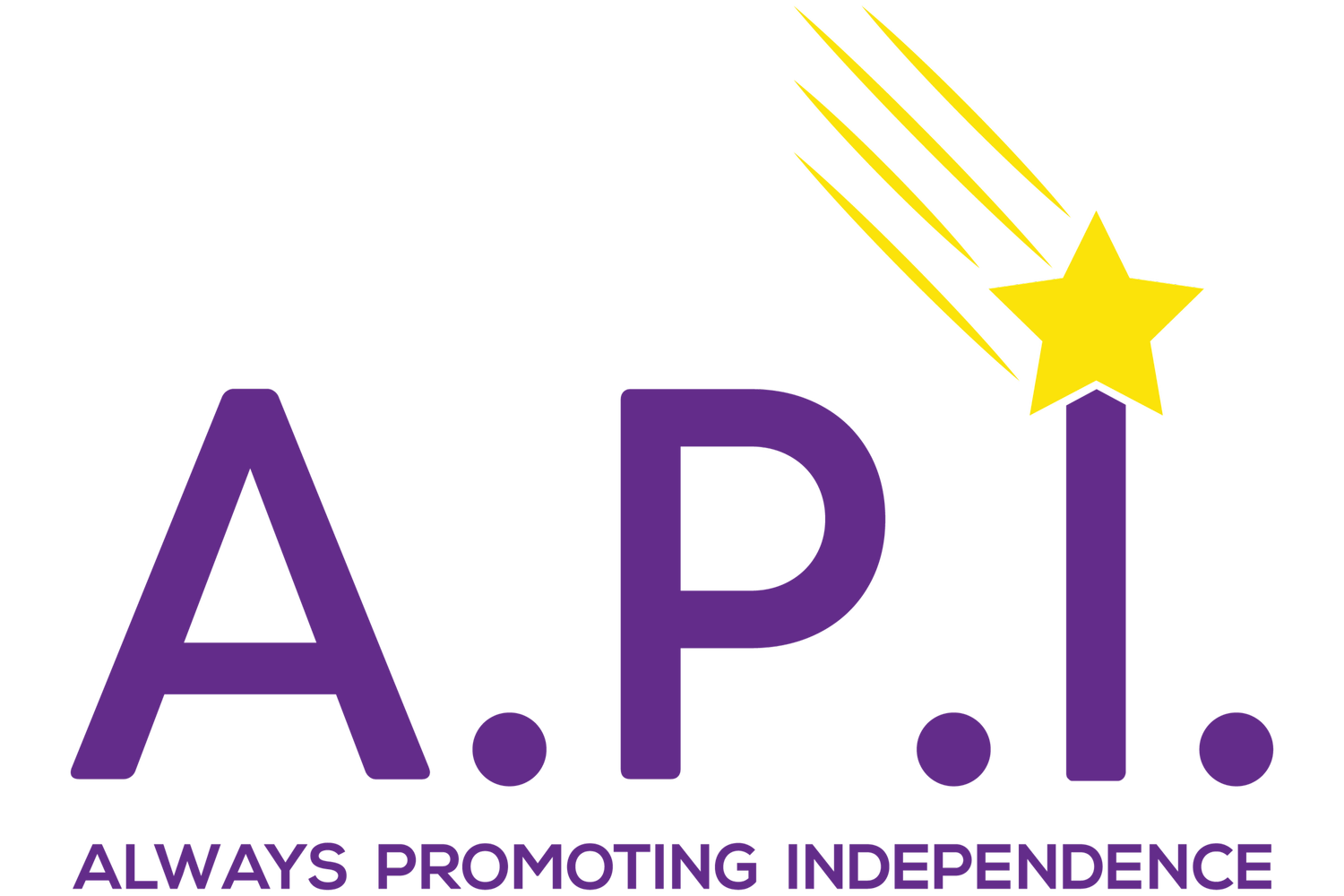 Always Promoting Independence Homecare and Transportation logo
