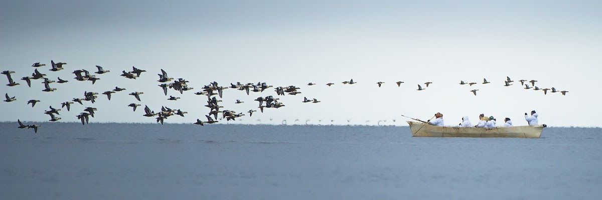 Arctic Slope Community Foundation