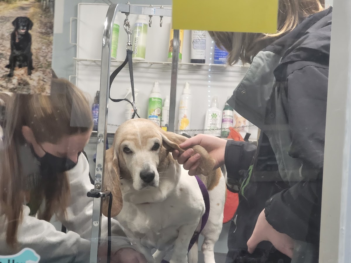 Green Acres Kennel Shop