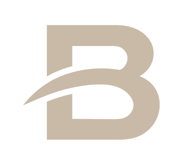 Blink logo