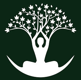 Driftwood Floatation Spa logo