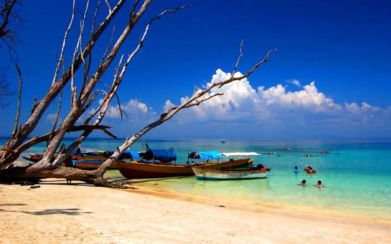 Global andaman Tour and travels