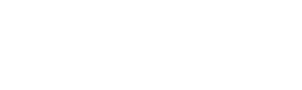 Nevada Home Hospice & Palliative Care logo