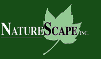 NatureScape logo