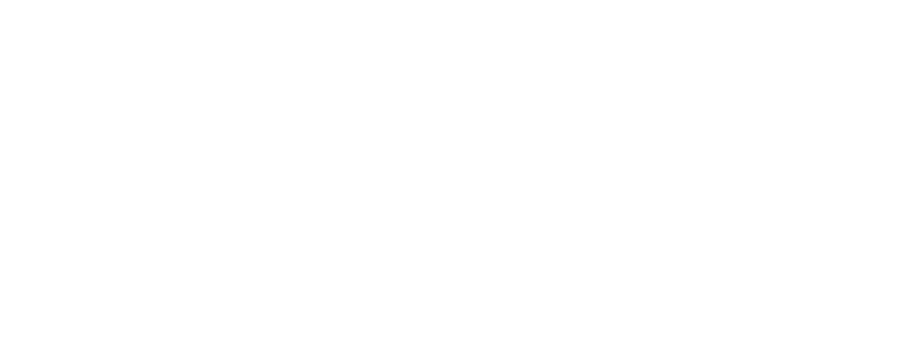 MoreLife logo