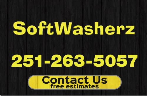 SoftWasherz logo
