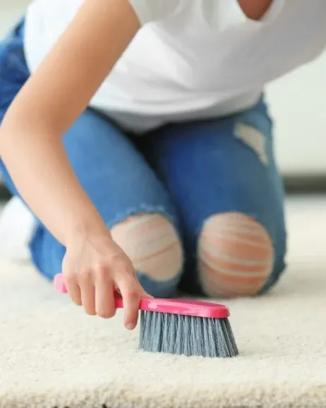 Ever Steam Carpet Cleaning LLC photo 4