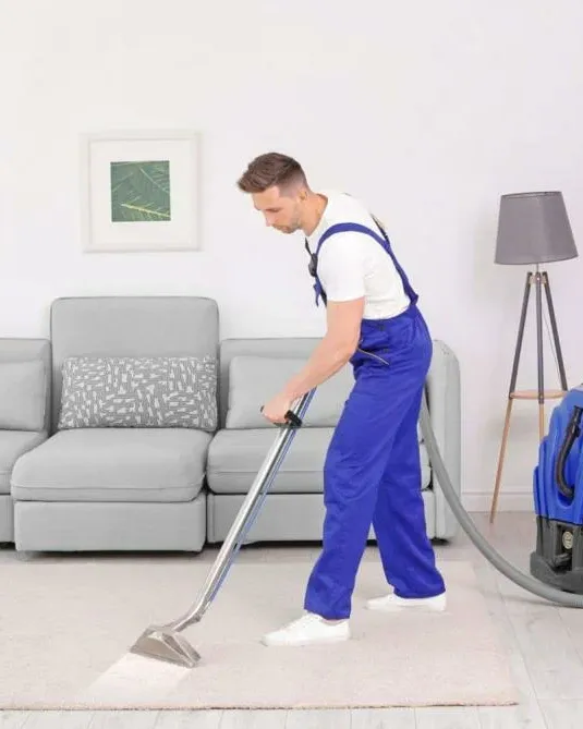 Ever Steam Carpet Cleaning LLC photo 2