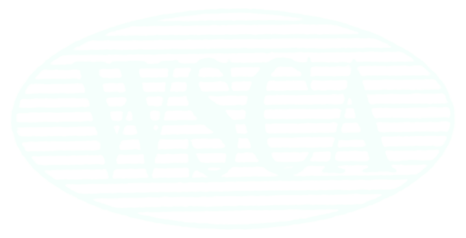 White Snow Central Airconditioning Repair logo