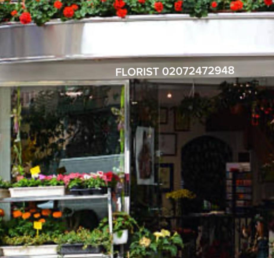 Flowers Lisson Grove
