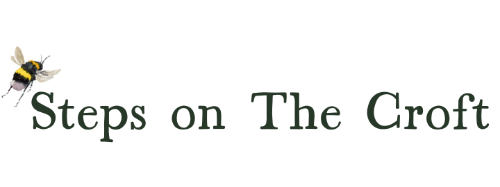 Steps On The Croft logo