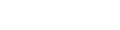 Chester Wellness Centre logo