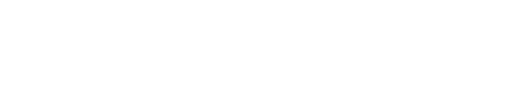 Sensorium Chiropractic logo