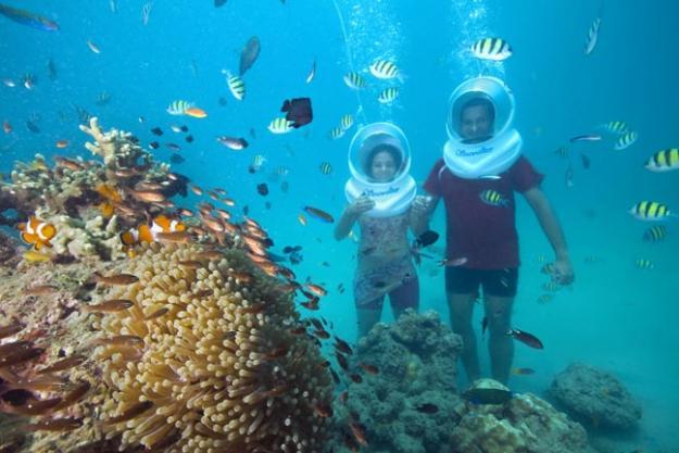 Andaman Tours & Travels