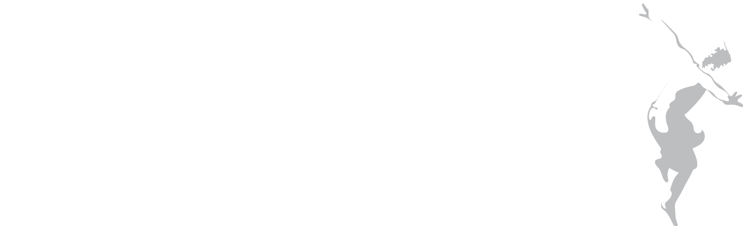 Zeh Arndt Creative logo