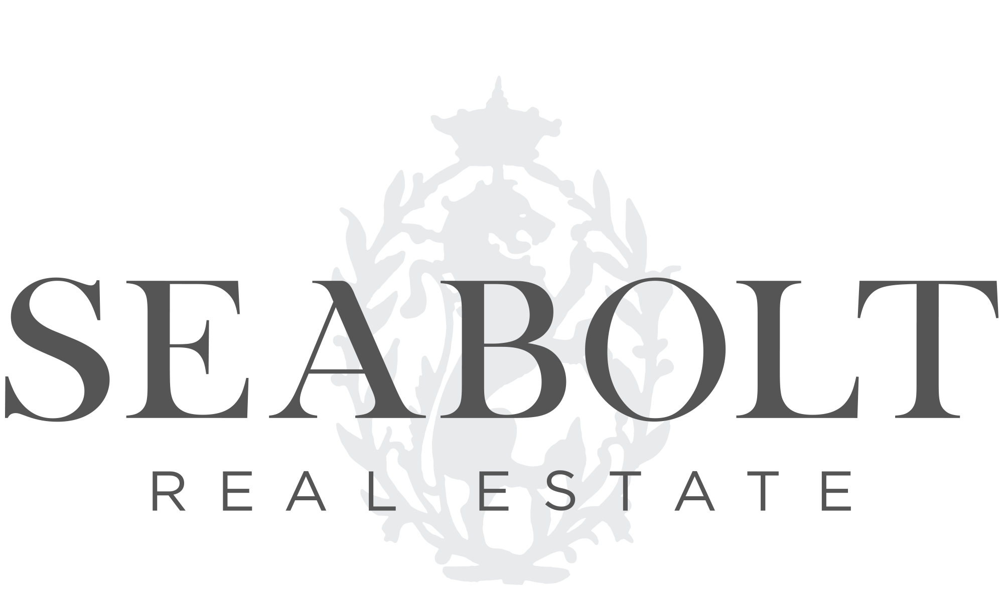 Seabolt Real Estate logo