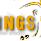 KINGS RESORT DANDELI logo