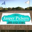 Jasper Pickers logo