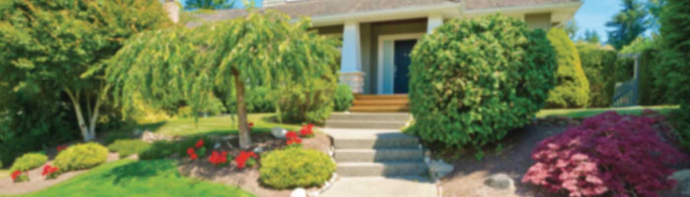Cerberus Home Security LLC logo