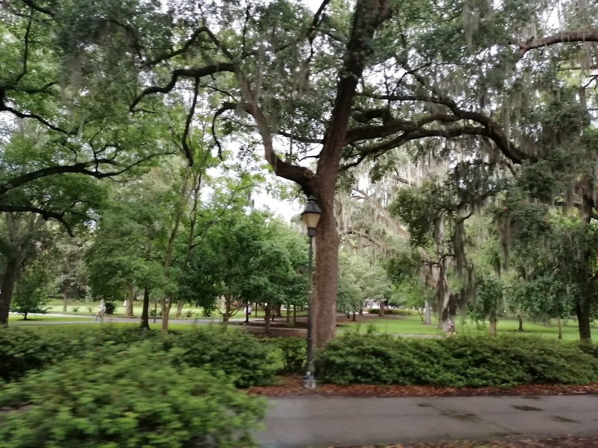 Downtown Savannah Properties