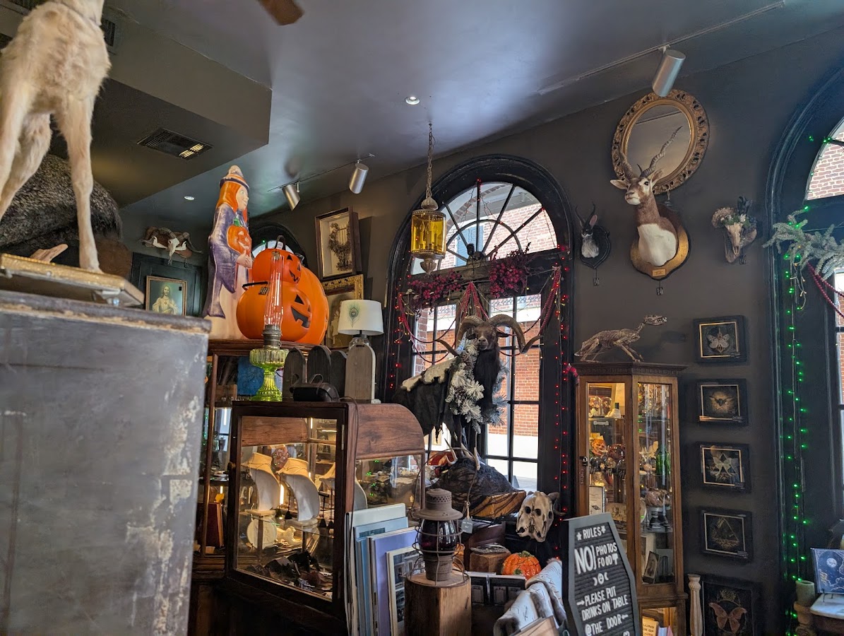 Dark Matter Oddities & Artisan Collective