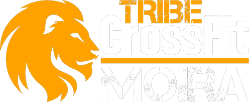 Tribe CrossFit Moira logo