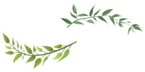 Wild Vine Marketing Communications logo