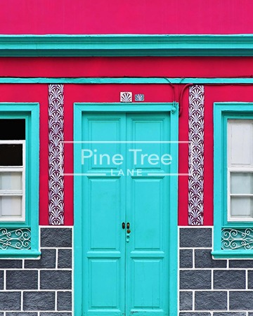 Pine Tree Lane photo 30