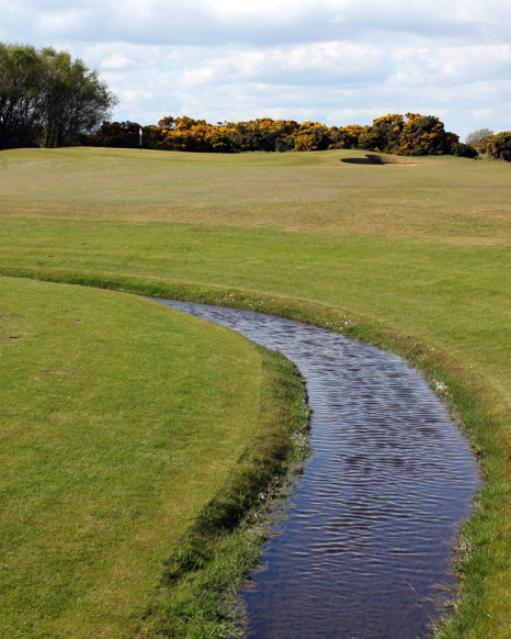 GreenLinks Consulting photo 1