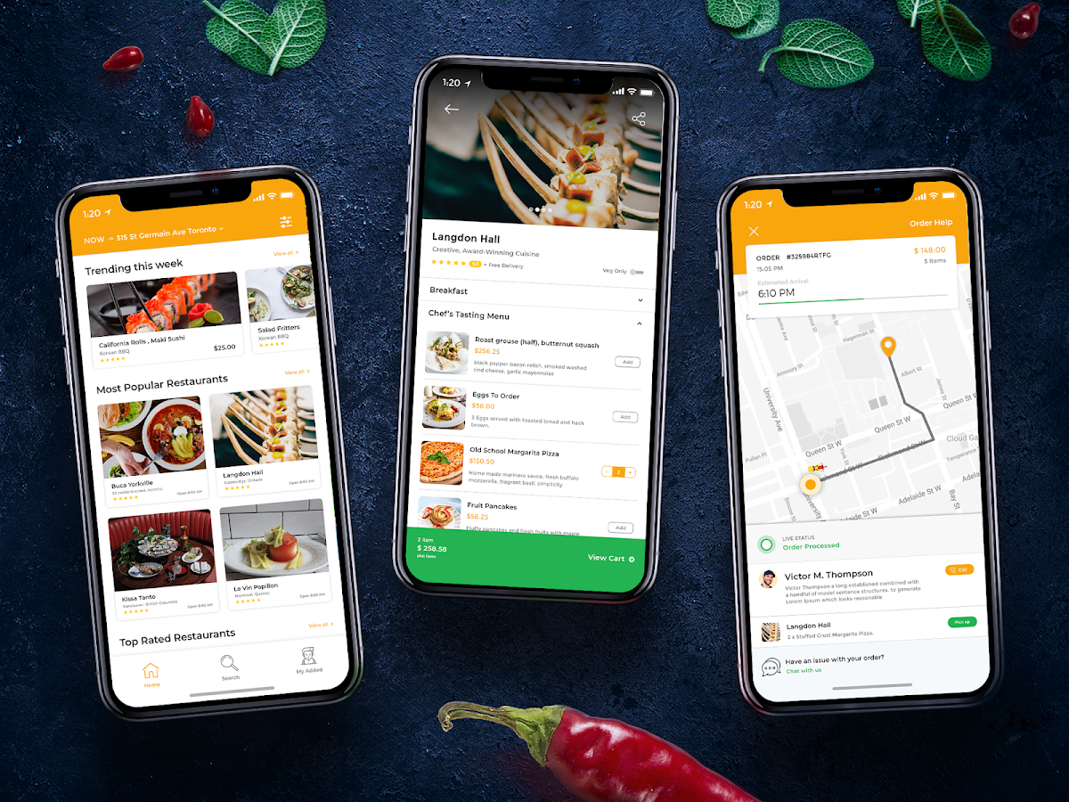 iQlance Solutions - Mobile App Development California