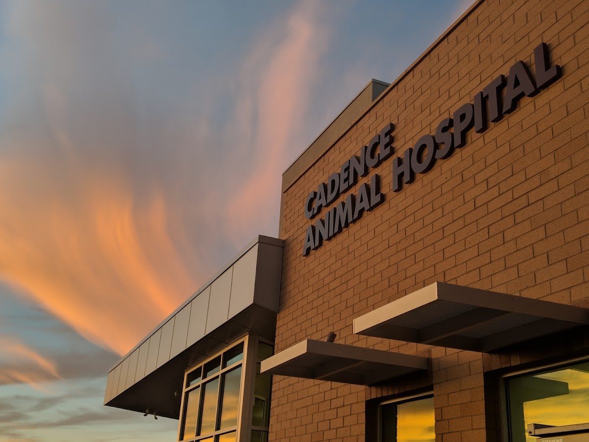 Cadence Animal Hospital