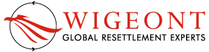 WIGEONT Consultancy services pvt LTD logo