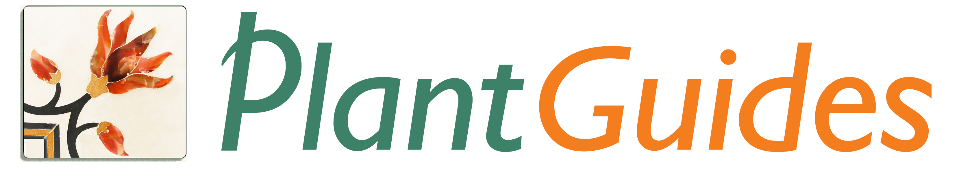 The Sustainable Health Centre logo