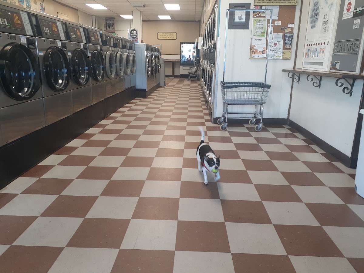 Launderland the Lost Sock