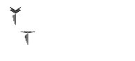 Yavapai Title Agency logo