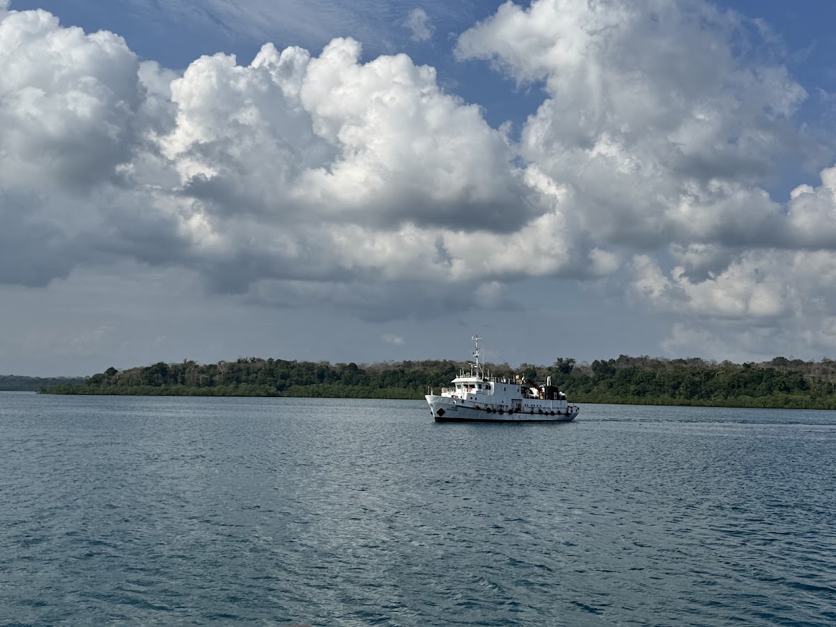NewWay Andaman Tours and Travels