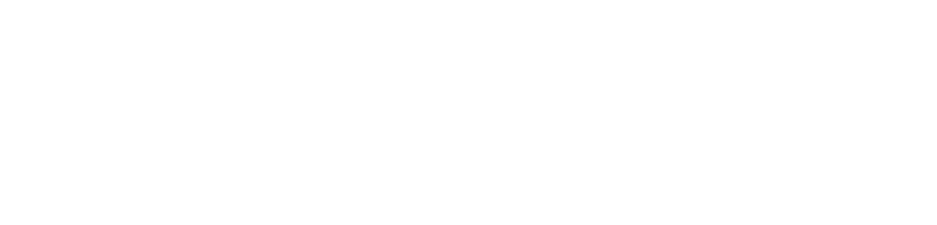 Amevian Home Care logo