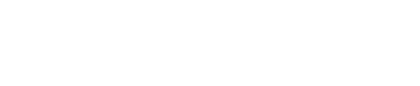 Chamois Consulting Ltd logo