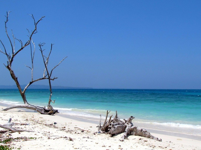 DMC Andaman - Mikarj Travels