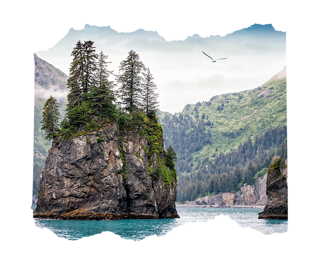 Bo's Alaska Fishing Trips logo