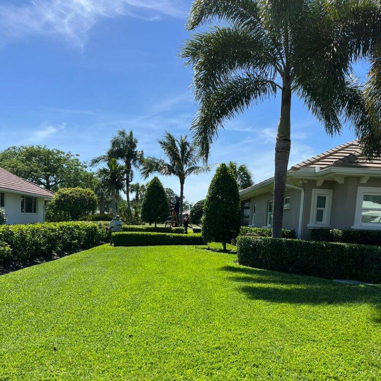 Francisco Lawncare maintanence